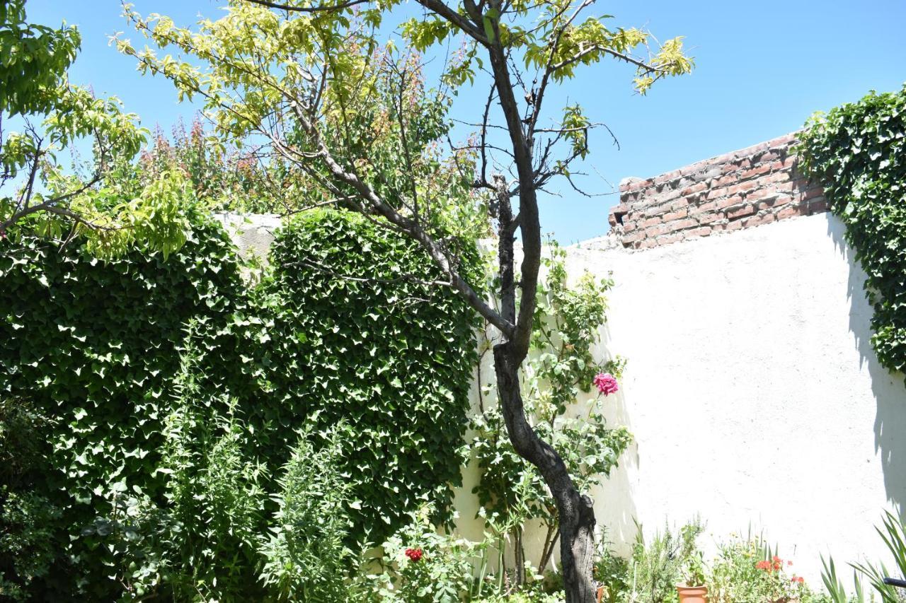 Del Alto-Viviendas Turisticas Zapala Esterno foto
